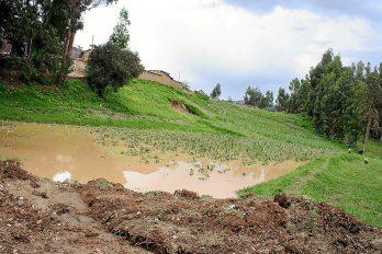 Casi dos millones en pérdidas de cultivos en el Valle del Mantaro