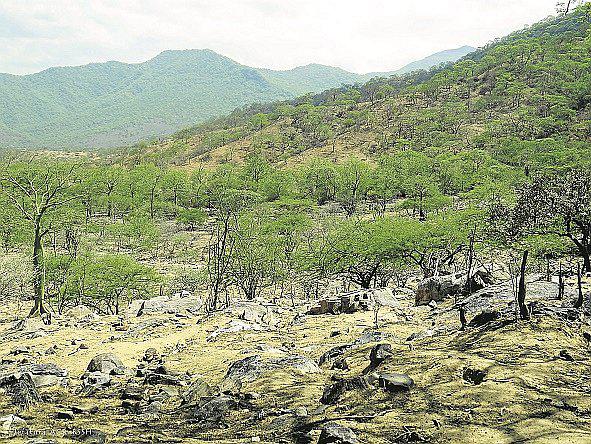 Piura: Estalla cerro en Huarmaca, temen se trate de un volcán
