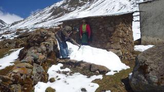 2614 cabezas de ganado mueren por las heladas 