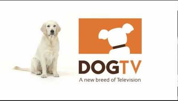 Crean canal de televisión exclusivo para perros