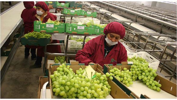 Más de 125 países recibieron productos agrícolas del Perú