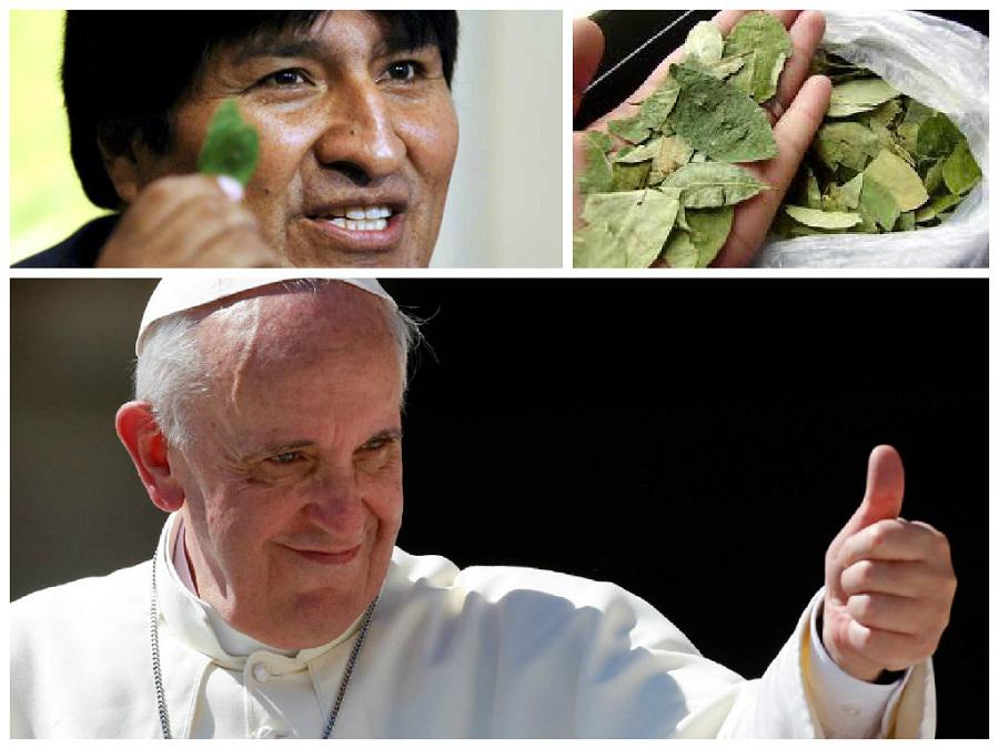 ​El Papa Francisco masticará hoja de coca durante su visita a Bolivia