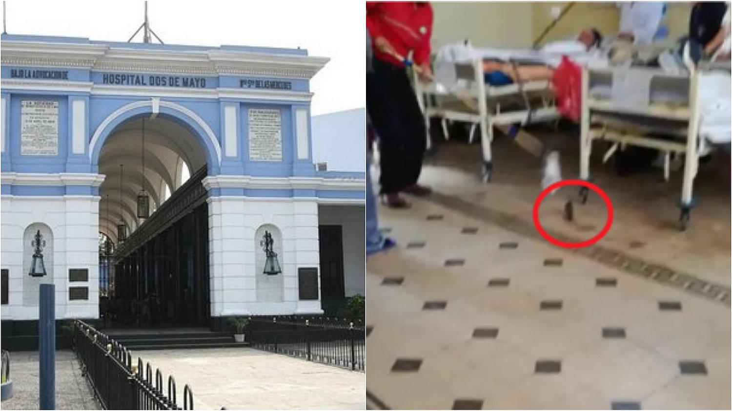 Ratas invaden el hospital Dos de Mayo y causan terror entre los pacientes (VIDEO)