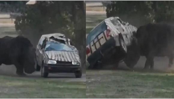 Rinoceronte ataca y destroza camioneta de su cuidadora en zoológico (VIDEOS)