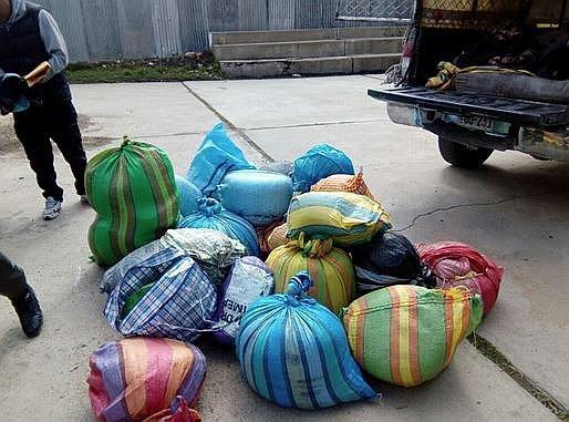 Puno: decomisan 380 kilos de hoja de coca en Putina