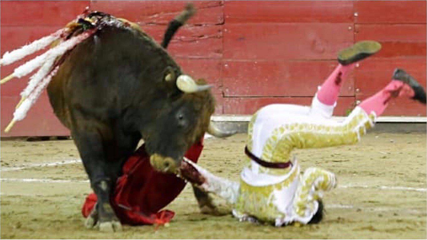 Torero mexicano recibió impactante cornada en sus partes íntimas (VIDEO)