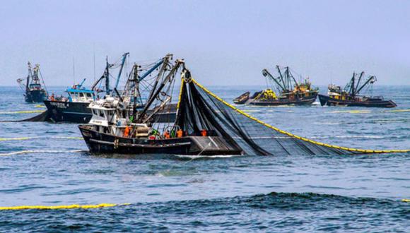 Sindicato de Pescadores pide la veda al considerar que se otorgó una cuota excesiva y por la alta incidencia de juveniles.