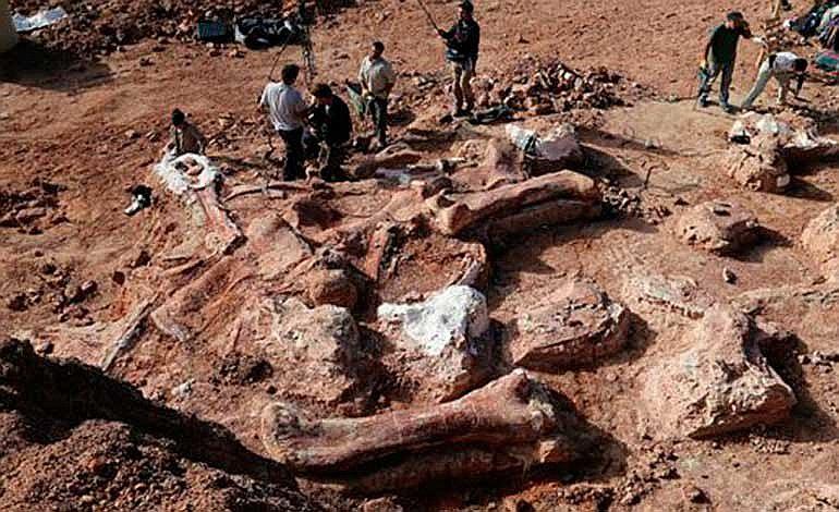 Argentina: ​Descubren nuevo dinosaurio "Gigante Ladrón" (FOTOS)