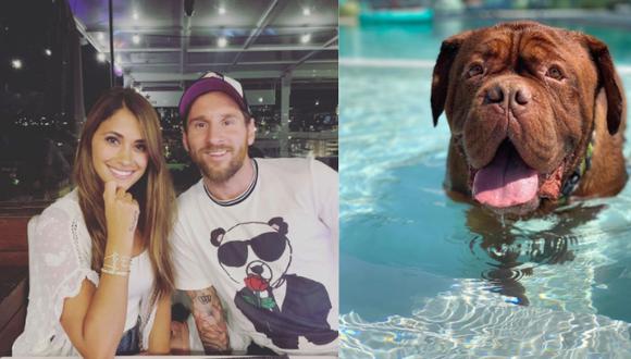 Messi y su familia viajaron a Barcelona. Ellos se reencontraron con su mascota. Foto: (composición/antonelaroccuzz)