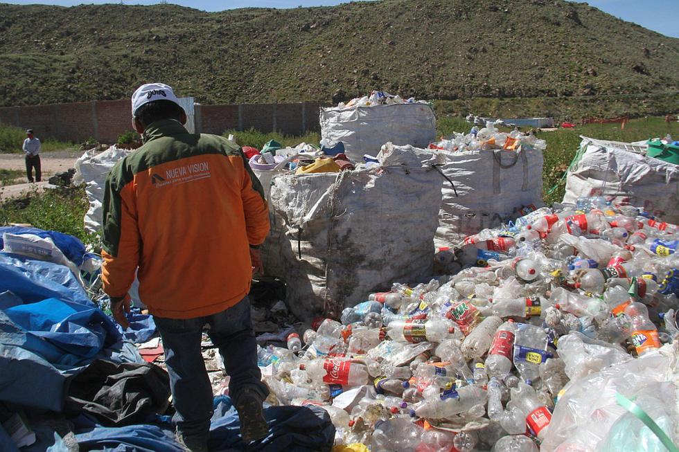 La emergencia de los "gallinazos sin plumas" en Arequipa que piden ayuda (FOTOS)