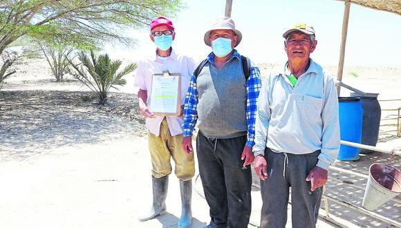Pisco: Agricultores piden anular entrega de predios agrícolas