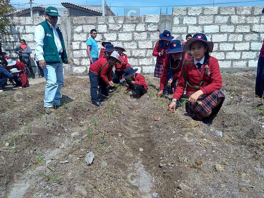 Instalan biohuerto en la I.E. 40174 Paola Frassinetti – Fe y Alegría 45