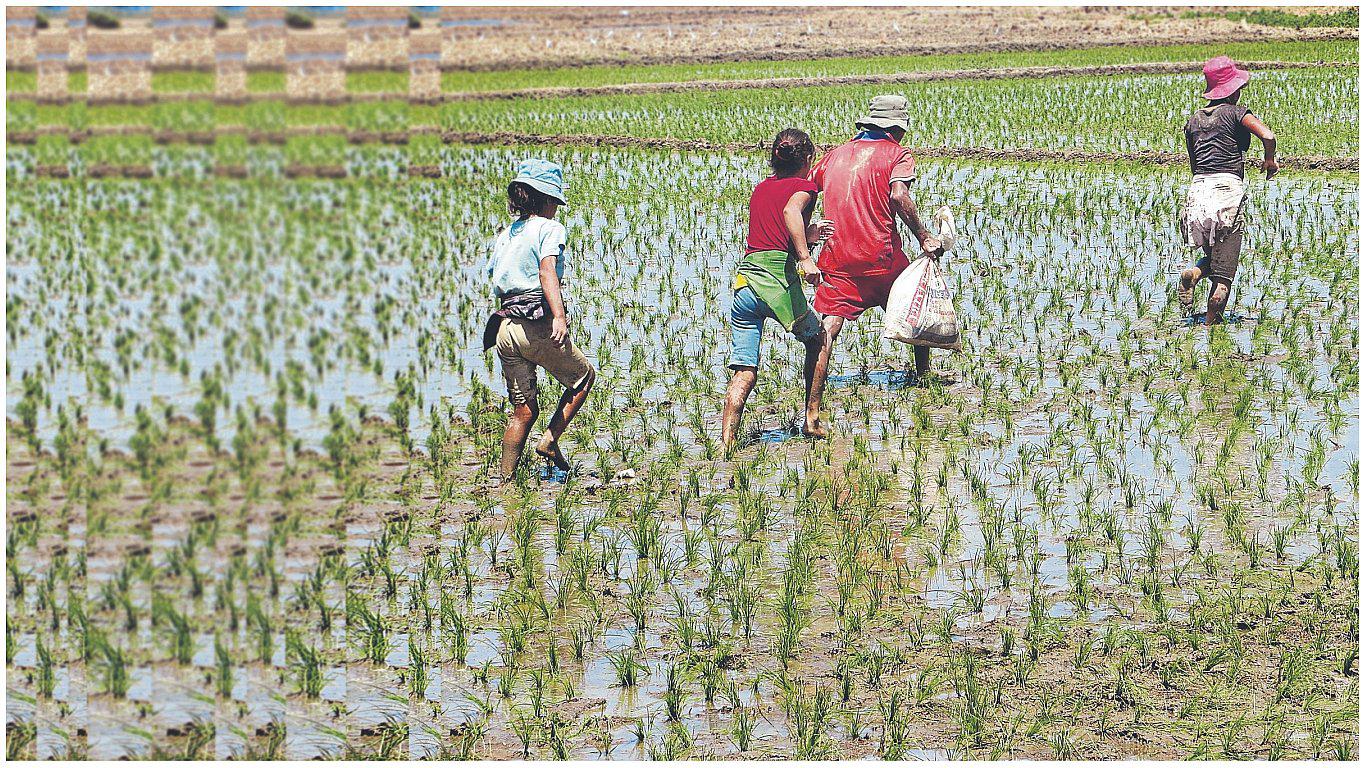 Trabajo infantil: 40% de los menores en Áncash labora  