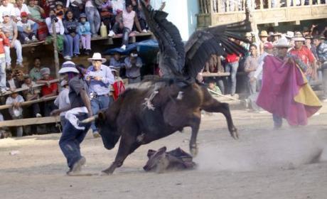 Fiesta y Sangre en Cotabambas