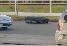 “Se te cayó el muerto”: Coche fúnebre pierde un ataúd en plena avenida (VIDEO)