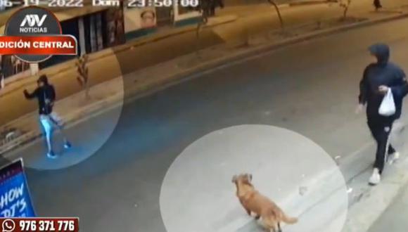 Joven que intentó dar de comer a perro callejero fue violentamente atropellado en Villa María del Triunfo. (Captura: ATV Noticias)