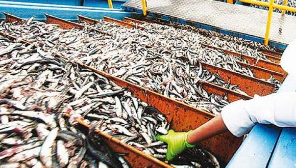 Exportaciones pesqueras crecerían 22%