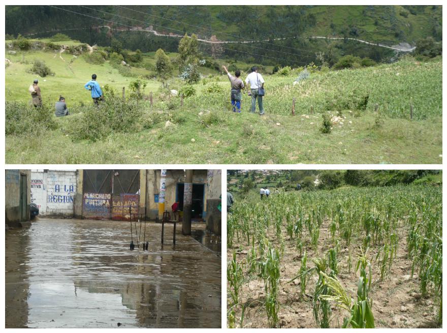 Pasco: lluvia, granizada y nevada perjudican 200 hectáreas de cultivos