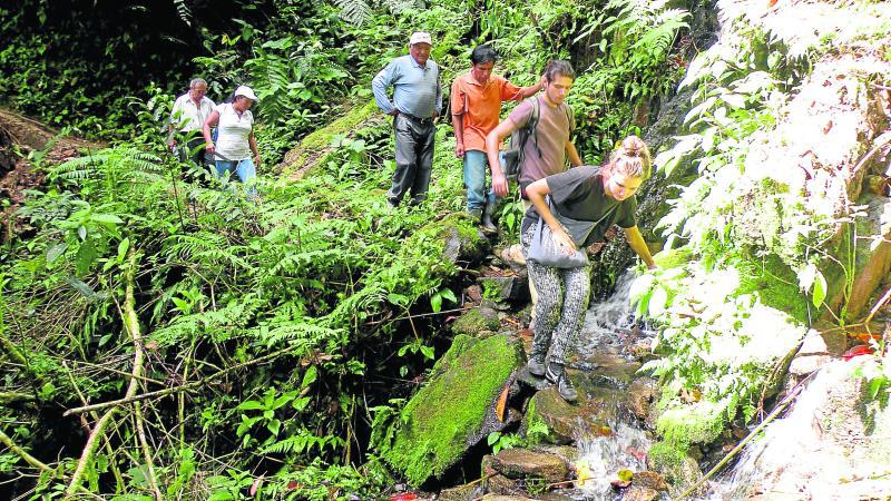 Conozca el bosque de Pui Pui, nuevo destino turístico en Pichanaki 