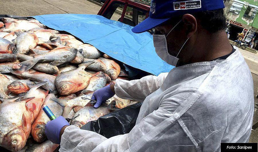 Sanipes:  Cierre de plantas se ejecuta en aplicación de normas sanitarias 