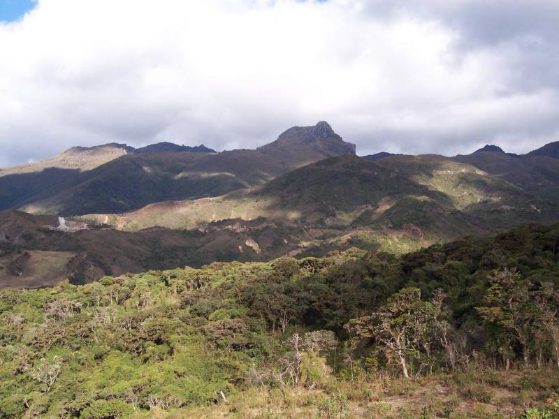 Ecosistema de Samanga es área de conservación   