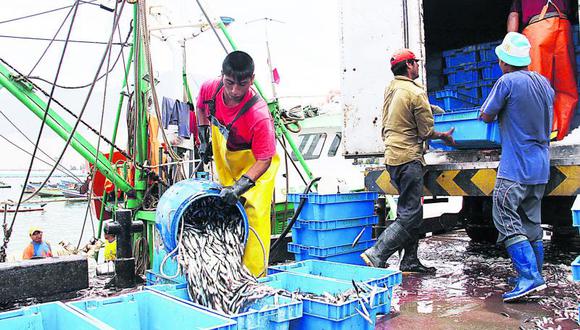 SNP pide medidas para salvar pesca de anchoveta