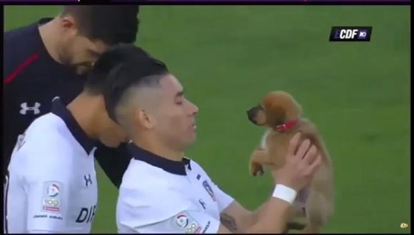 Chile: Jugadores de Colo Colo salieron a la cancha con perros para fomentar adopción