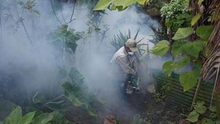 Declaran en emergencia sanitaria a Ayacucho y otras 14 regiones a causa del dengue