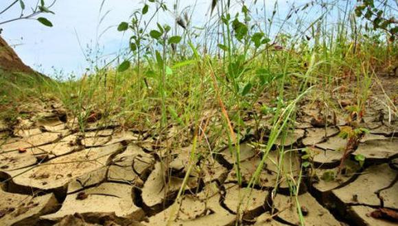 Piura: Sequías afectan agricultura y ganadería
