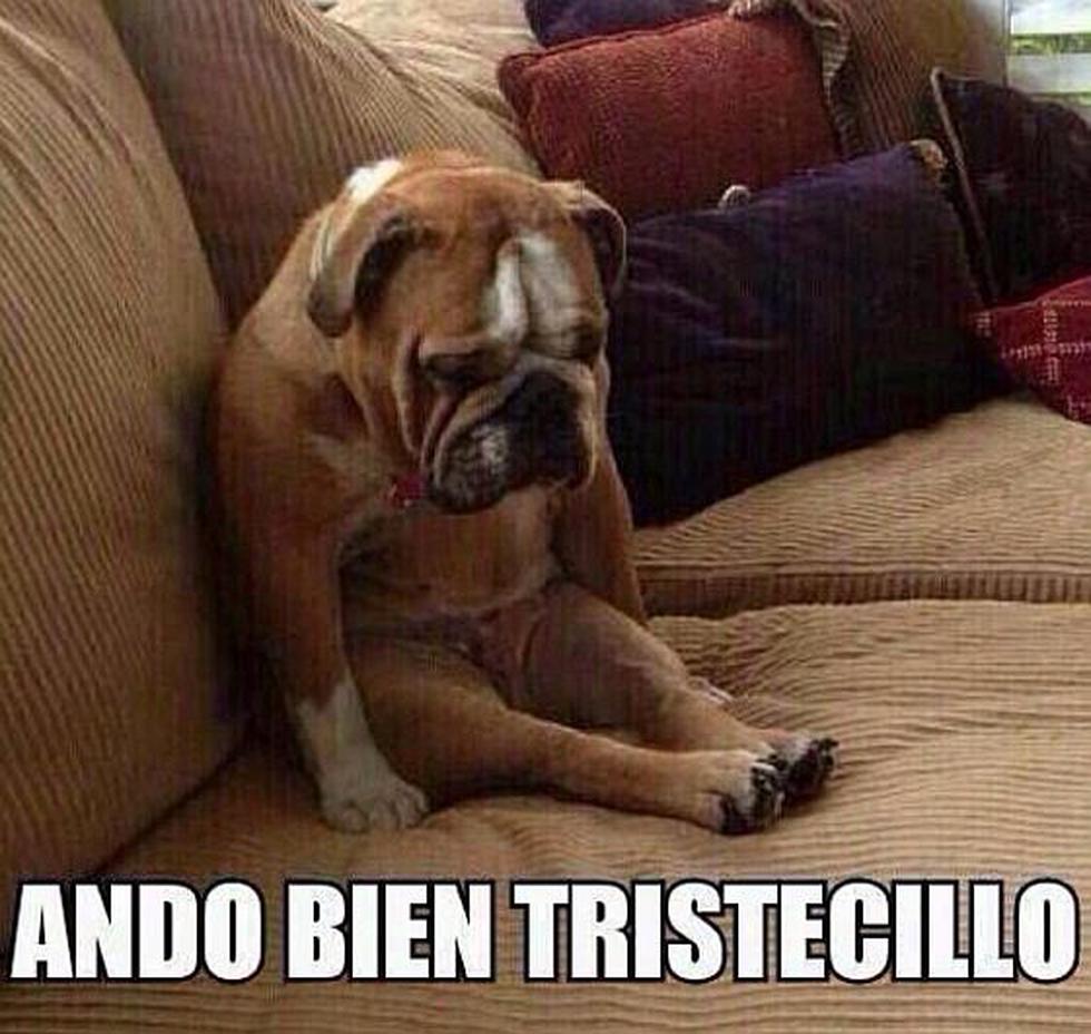 Brasil 2014: Los 'memes' de México tras ser eliminado por Holanda (FOTOS)