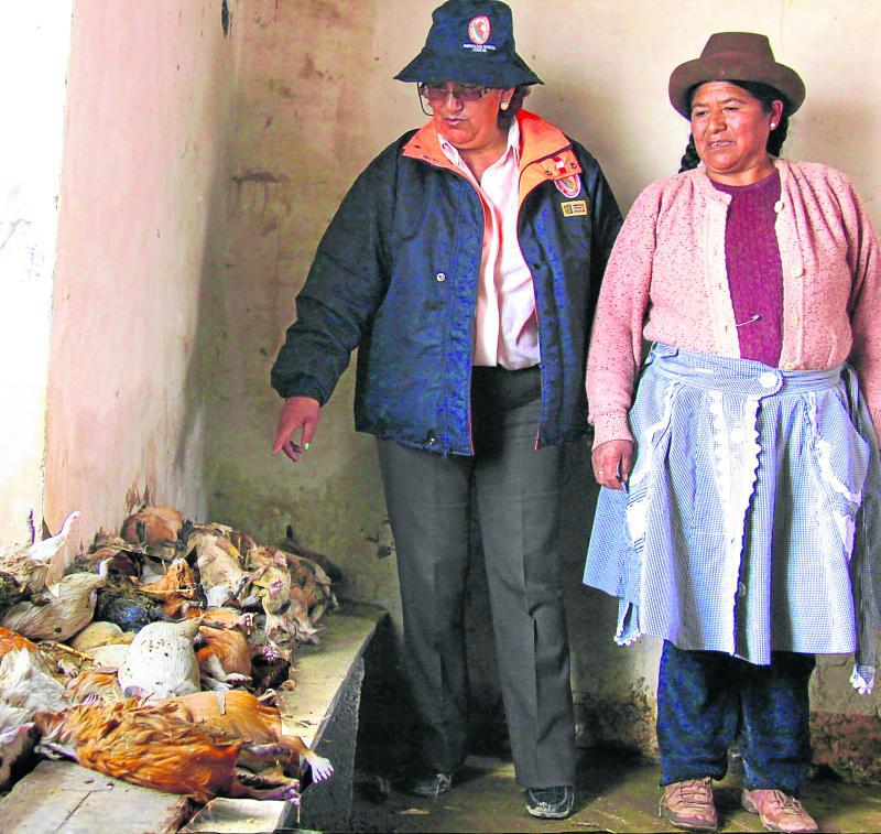 Animales menores mueren por fuertes lluvias