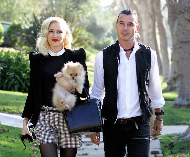 Cantante de No Doubt vuelca la angustia de su divorcio en nuevo video