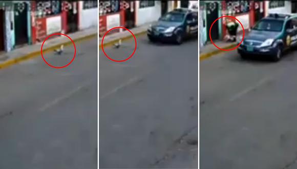 Policías son captados "deteniendo" a un pato en plena avenida en Moche (VIDEO)