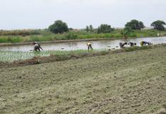 Piura: Agricultores piden recuperar infraestructura hidráulica