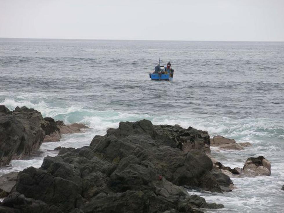 Especial: La riqueza de Punta de Coles