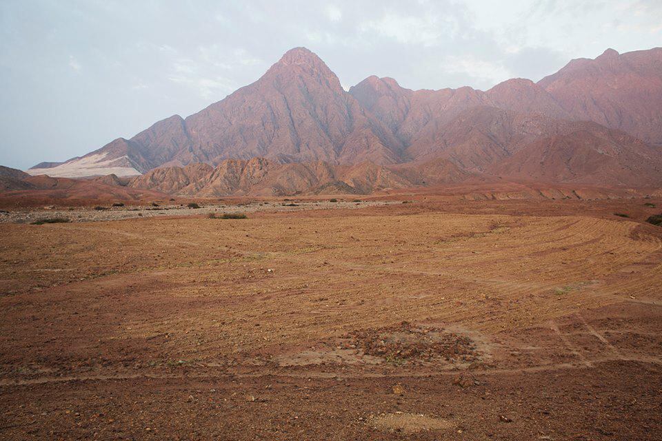 Trujillo: Ministerio de Cultura hará denuncia penal por daños a geoglifo