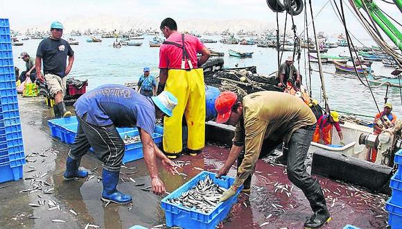 Lambayeque: Más de 50 mil soles diarios pierde gremio de pescadores en la caleta de San José
