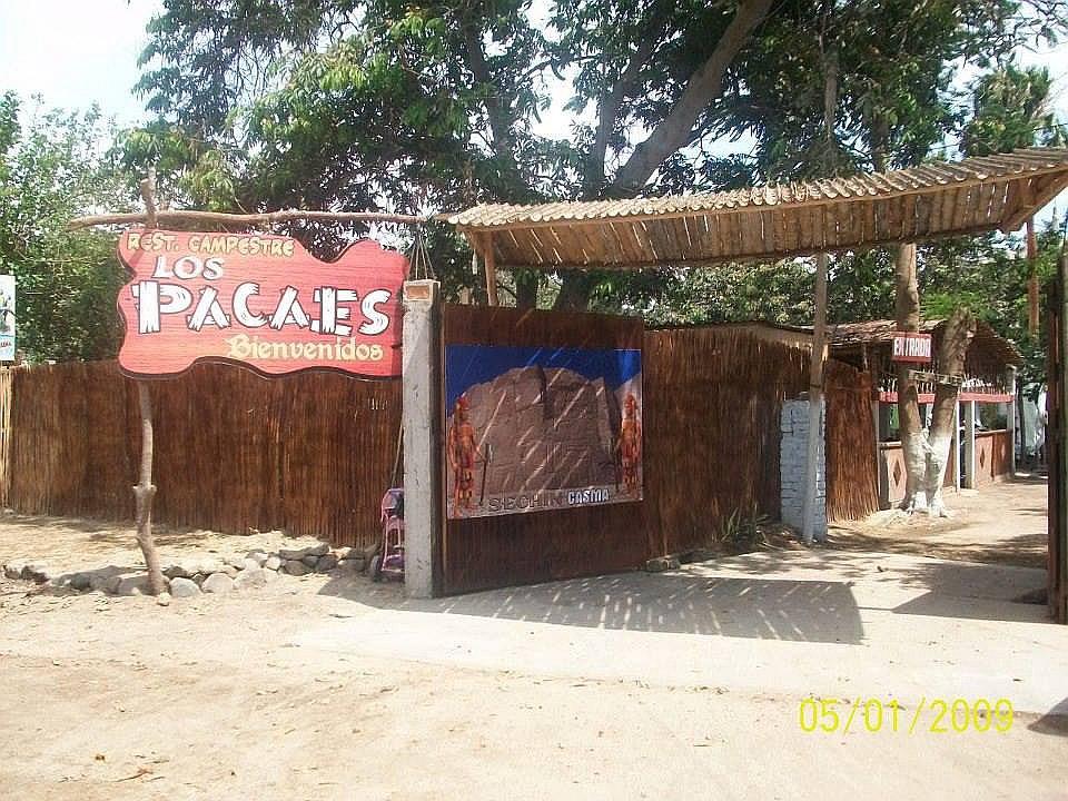 Casma: Delincuentes matan a perros para asaltar restaurant turístico