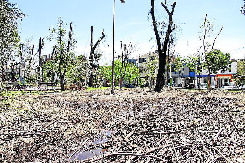 Atentado ambiental en parque de Arequipa