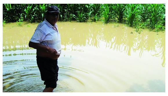 Lambayeque: Agricultores no reciben bono de reconstrucción