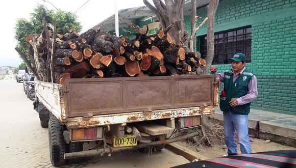 Piura: Incautan camión con algarrobo de procedencia ilegal